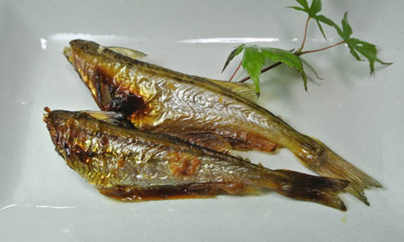 ハタハタは美味しい魚だ ただし 時期 場所 鮮度 大きさ 料理法などを知った上でのことだ そんな意味で 鳥取県沖合で9 10月に漁獲されるハタハタ鮮魚の大型個体は 本当に美味しい 実際 経歴が明らかであるからこそ 美味しいのだ 写真