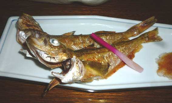 ハタハタは美味しい魚だ ただし 時期 場所 鮮度 大きさ 料理法などを知った上でのことだ そんな意味で 鳥取県沖合で9 10月に漁獲されるハタハタ鮮魚の大型個体は 本当に美味しい 実際 経歴が明らかであるからこそ 美味しいのだ 写真